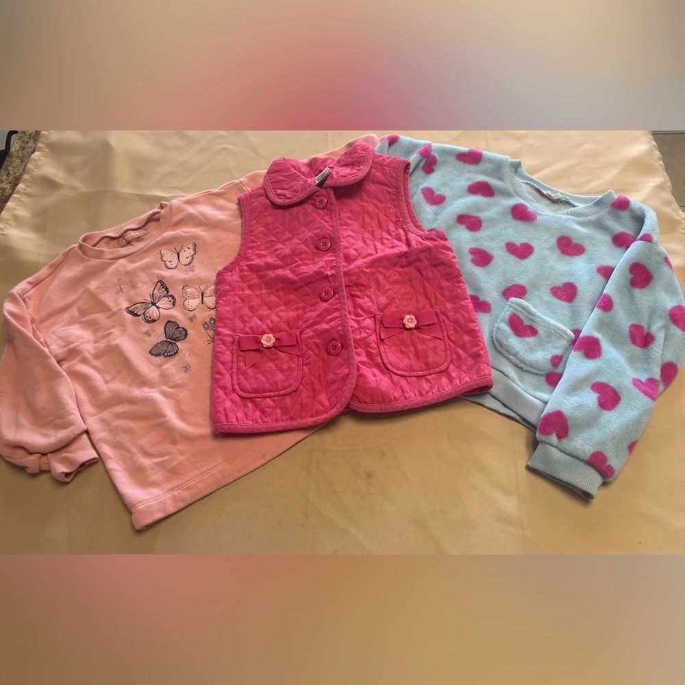 Lot of 3 - Girls Sweaters and Vest Sz‎ 5/6 Pink Blue Hearts Flowers Butterflies